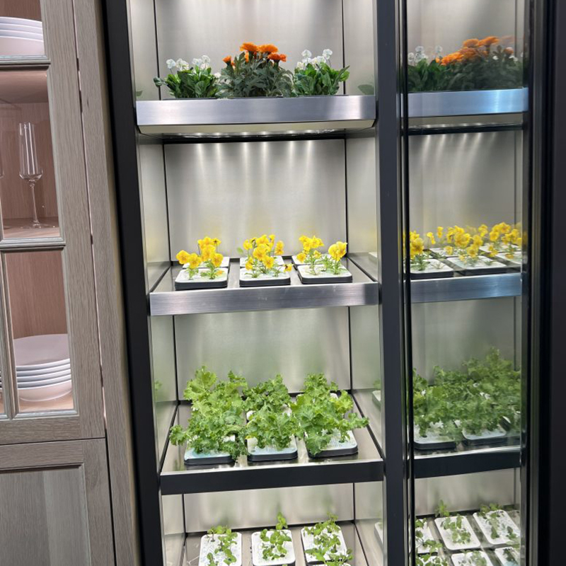 The future of homegrown indoor gardening