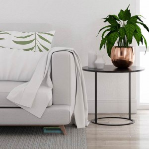 Keep The Mouse Out Of The House And Garden—Naturally