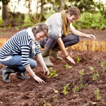 How To Prep Your Garden For Spring