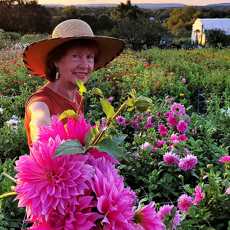 5 Dessert in the Dahlias