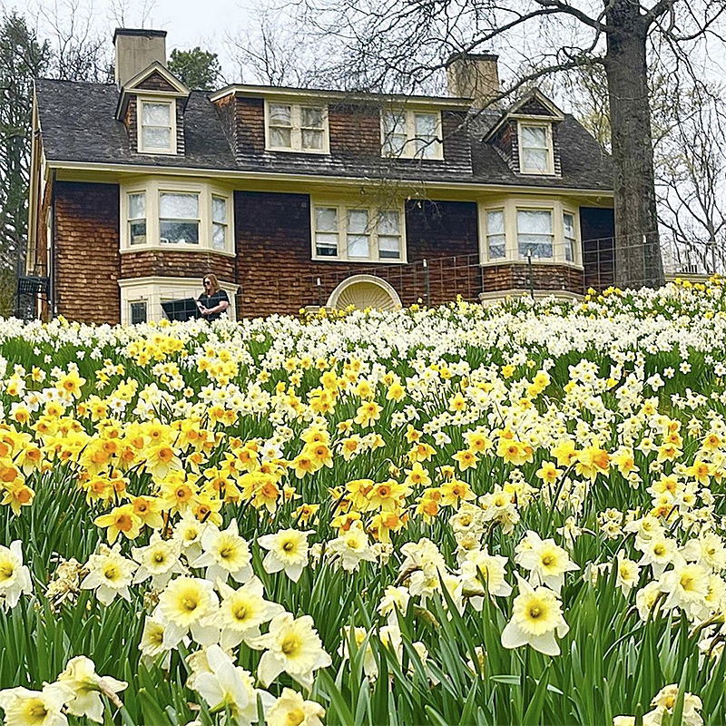 Reeves-Reed Arboretum in Summit-v3