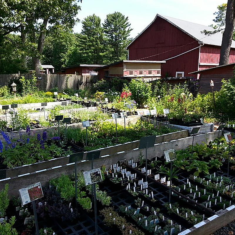 The Well-Sweep Herb Farm in Port Murray