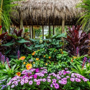 Make The Garden Of Your Dreams A Reality