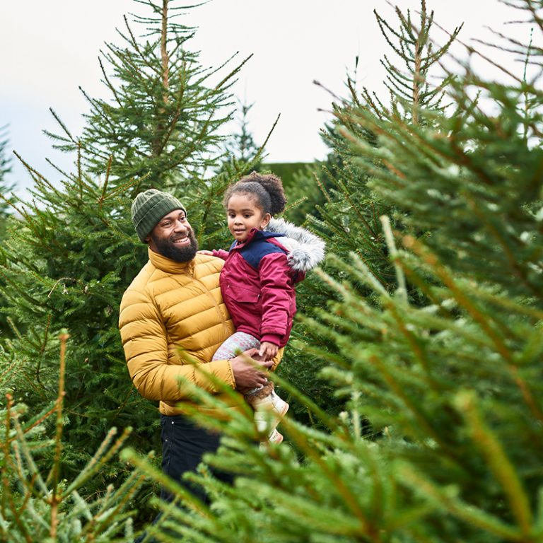 Real Vs. Artificial Which Christmas Tree Is Best For You? NJ Home