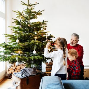 Real Vs. Artificial: Which Christmas Tree Is Best For You?