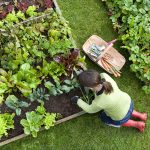 Reap The Benefits Of An Edible Garden