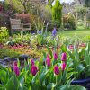 10 NJ Gardens To Visit This Summer
