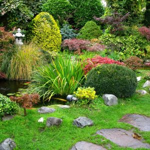 6 Ways To Keep Your Garden Thriving