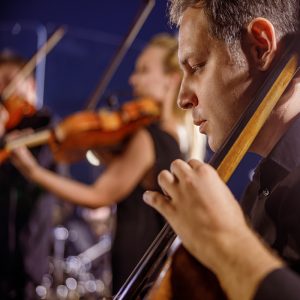 7 Shows For A Softer Summer Soundtrack