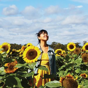 Fields Of Gold