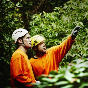 Keep Your Trees In Tip-Top Shape