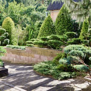 Garden Outside The Box